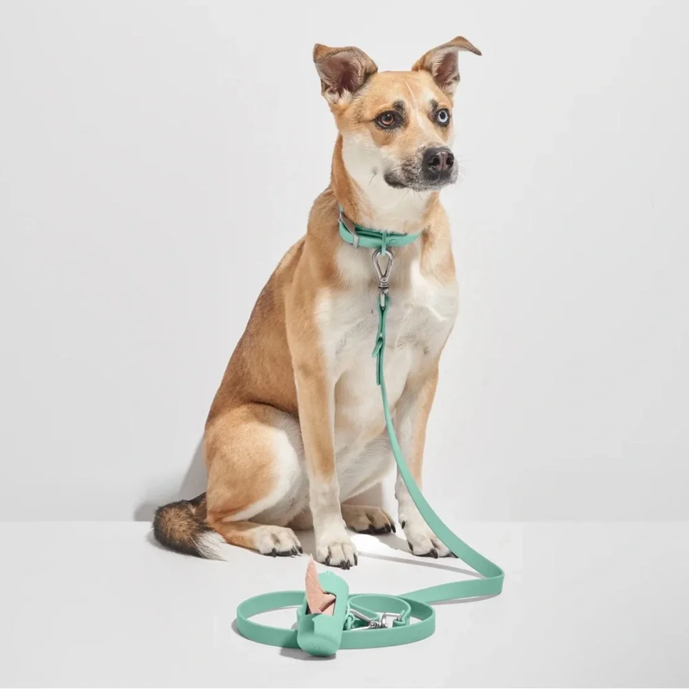 Wild One Dog Collar - L (15-18